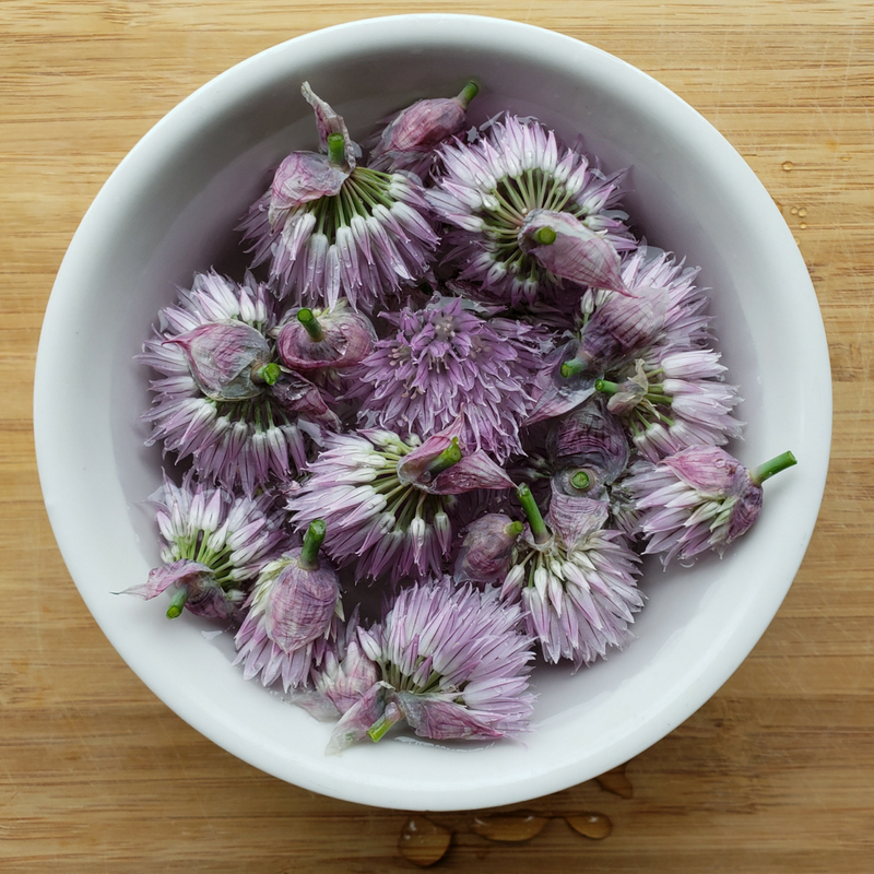 Chive Blossom Pink Drizzle Vinegar